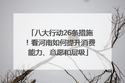 八大行动26条措施！看河南如何提升消费能力、意愿和层级