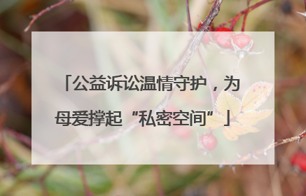 公益诉讼温情守护，为母爱撑起“私密空间”