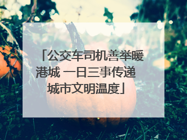 公交车司机善举暖港城 一日三事传递城市文明温度