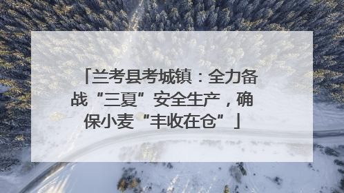 兰考县考城镇：全力备战“三夏”安全生产，确保小麦“丰收在仓”