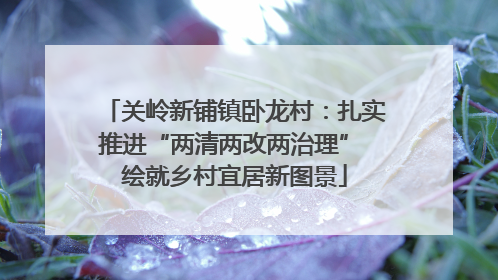 关岭新铺镇卧龙村：扎实推进“两清两改两治理” 绘就乡村宜居新图景