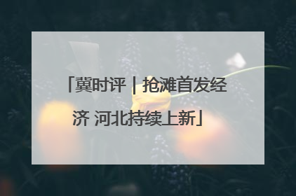 冀时评｜抢滩首发经济 河北持续上新
