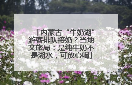 内蒙古“牛奶湖”游客排队接奶？当地文旅局：是纯牛奶不是湖水，可放心喝