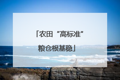 农田“高标准” 粮仓根基稳