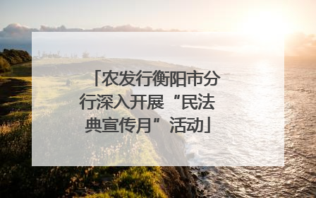 农发行衡阳市分行深入开展“民法典宣传月”活动