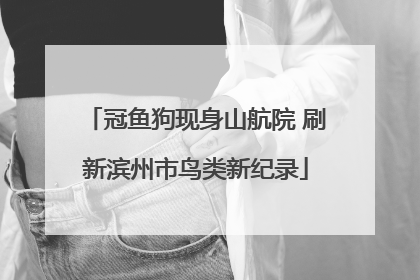 冠鱼狗现身山航院 刷新滨州市鸟类新纪录