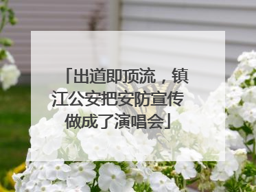 出道即顶流，镇江公安把安防宣传做成了演唱会
