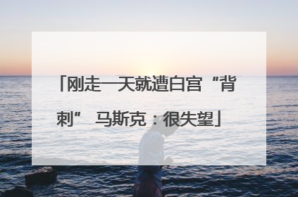 刚走一天就遭白宫“背刺” 马斯克：很失望