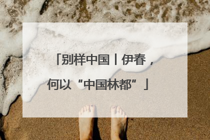 别样中国丨伊春，何以“中国林都”