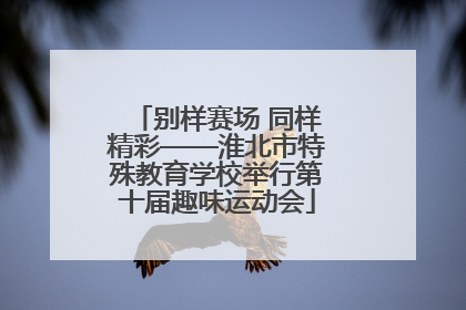 别样赛场 同样精彩——淮北市特殊教育学校举行第十届趣味运动会
