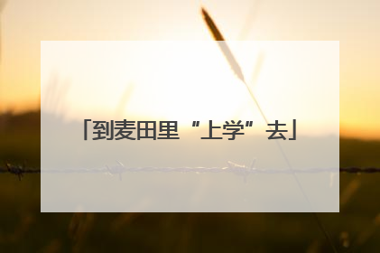到麦田里“上学”去