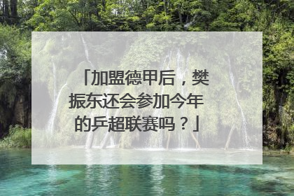 加盟德甲后，樊振东还会参加今年的乒超联赛吗？