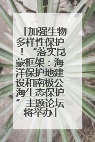 加强生物多样性保护！“落实昆蒙框架：海洋保护地建设和南极公海生态保护”主题论坛将举办