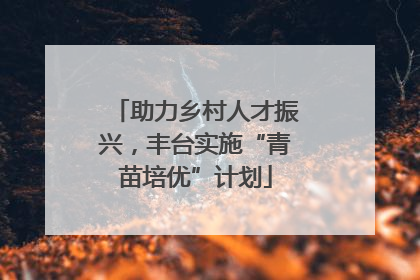 助力乡村人才振兴，丰台实施“青苗培优”计划