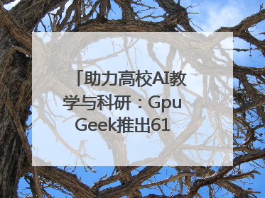 助力高校AI教学与科研：GpuGeek推出618算力支持活动