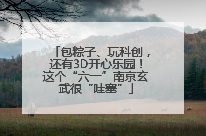 包粽子、玩科创，还有3D开心乐园！这个“六一”南京玄武很“哇塞”