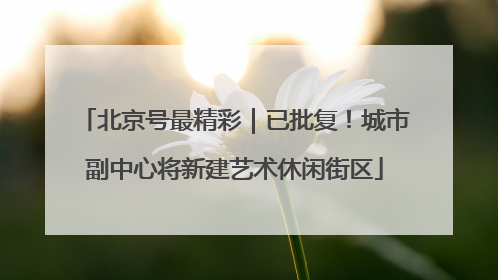 北京号最精彩｜已批复！城市副中心将新建艺术休闲街区