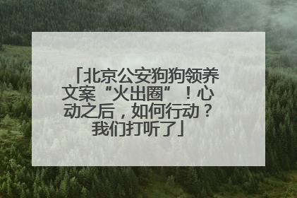 北京公安狗狗领养文案“火出圈”！心动之后，如何行动？我们打听了