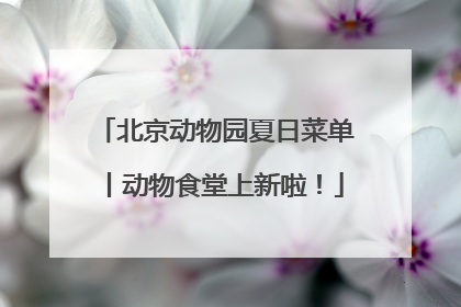 北京动物园夏日菜单丨动物食堂上新啦！