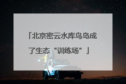 北京密云水库鸟岛成了生态“训练场”