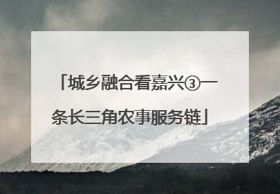 城乡融合看嘉兴③一条长三角农事服务链