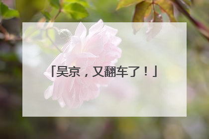 吴京，又翻车了！