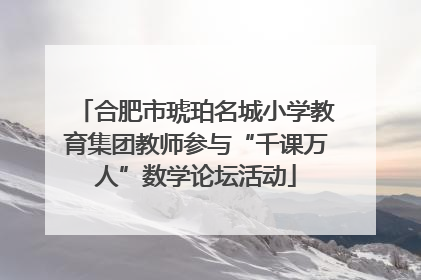 合肥市琥珀名城小学教育集团教师参与“千课万人”数学论坛活动