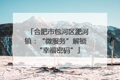 合肥市包河区淝河镇：“微服务”解锁“幸福密码”