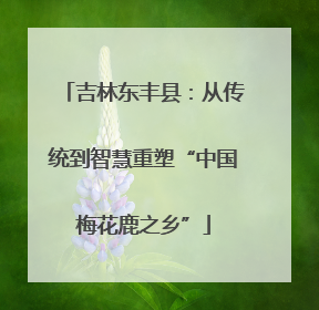 吉林东丰县：从传统到智慧重塑“中国梅花鹿之乡”