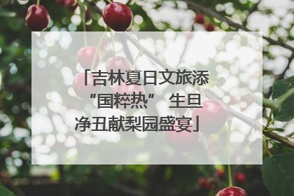吉林夏日文旅添“国粹热” 生旦净丑献梨园盛宴