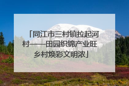 同江市三村镇拉起河村——田园织锦产业旺 乡村焕彩文明浓
