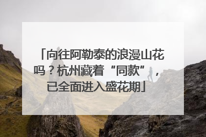 向往阿勒泰的浪漫山花吗？杭州藏着“同款”，已全面进入盛花期