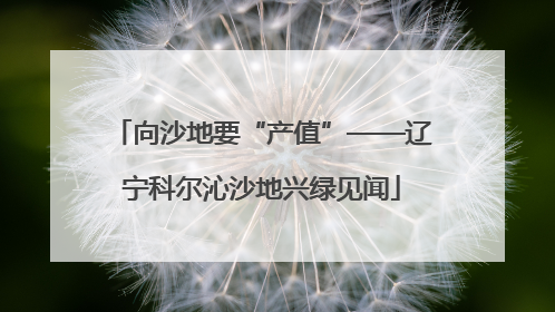 向沙地要“产值”——辽宁科尔沁沙地兴绿见闻