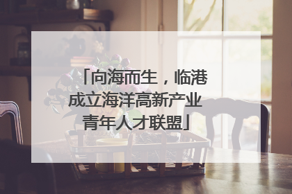 向海而生，临港成立海洋高新产业青年人才联盟
