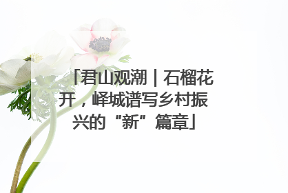 君山观潮｜石榴花开，峄城谱写乡村振兴的“新”篇章