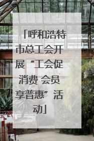 呼和浩特市总工会开展“工会促消费 会员享普惠”活动