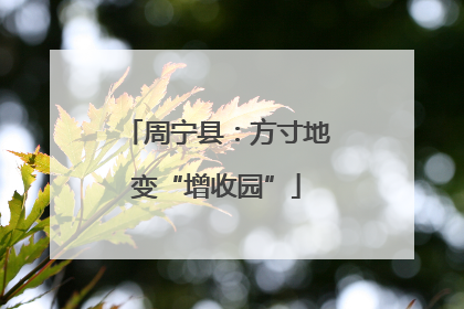 周宁县：方寸地变“增收园”