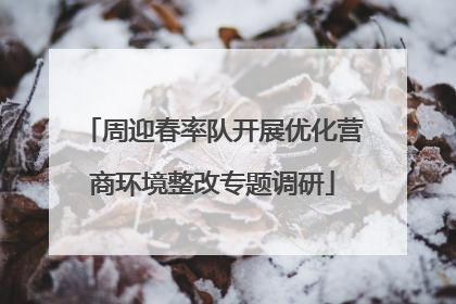 周迎春率队开展优化营商环境整改专题调研