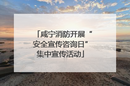 咸宁消防开展“安全宣传咨询日”集中宣传活动