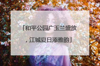 和平公园广玉兰盛放，江城夏日添雅韵