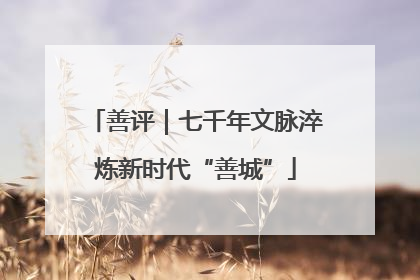 善评｜七千年文脉淬炼新时代“善城”