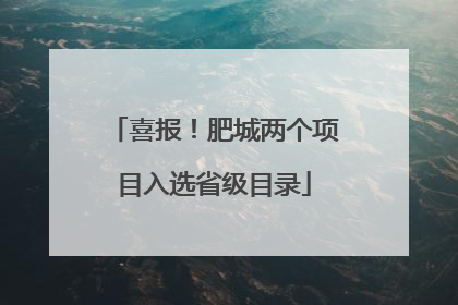 喜报！肥城两个项目入选省级目录