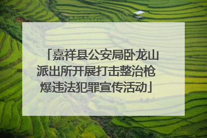 嘉祥县公安局卧龙山派出所开展打击整治枪爆违法犯罪宣传活动