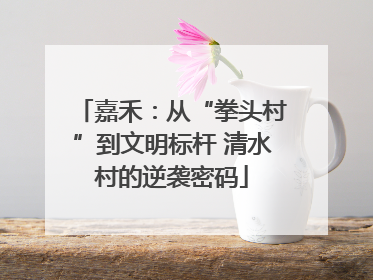 嘉禾：从“拳头村”到文明标杆 清水村的逆袭密码