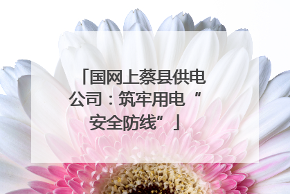 国网上蔡县供电公司：筑牢用电“安全防线”