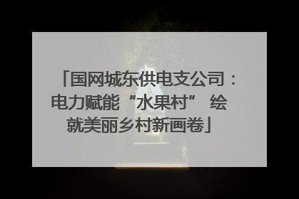 国网城东供电支公司：电力赋能“水果村” 绘就美丽乡村新画卷
