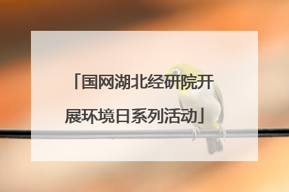 国网湖北经研院开展环境日系列活动