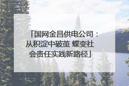 国网金昌供电公司：从积淀中破茧 蝶变社会责任实践新路径
