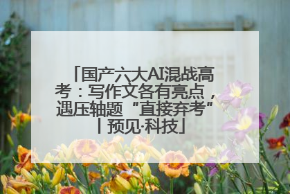 国产六大AI混战高考：写作文各有亮点，遇压轴题“直接弃考”丨预见·科技