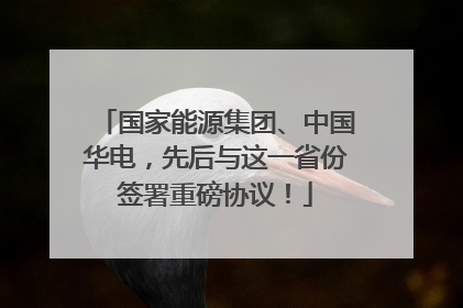 国家能源集团、中国华电，先后与这一省份签署重磅协议！